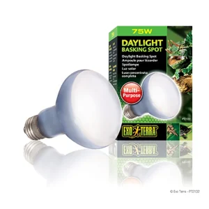 EXT Daylight Basking Spot 75W ”Grön”