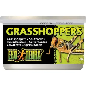 EXT Gräshoppor Konserverade 35g