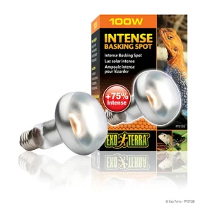 EXT Intense Basking Spot 100W
