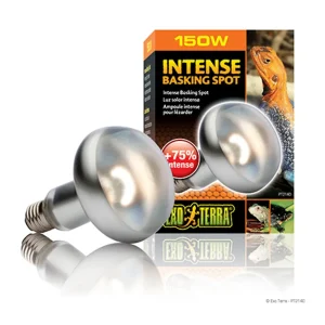 EXT Intense Basking Spot 150W