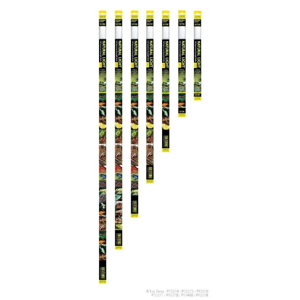 EXT Natural Light T8 120cm/36w