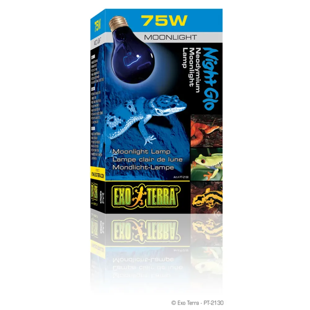 EXT Night Glo Moonlight 50W