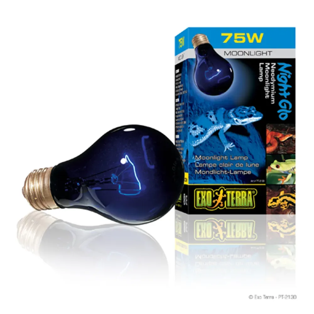 EXT Night Glo Moonlight 75W