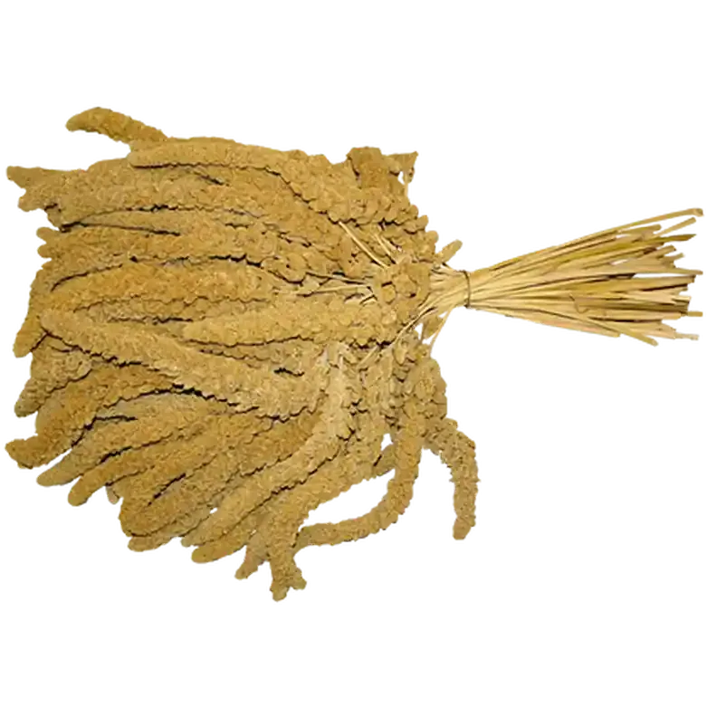Extra rabatt Franska hirskolvar 15 kg