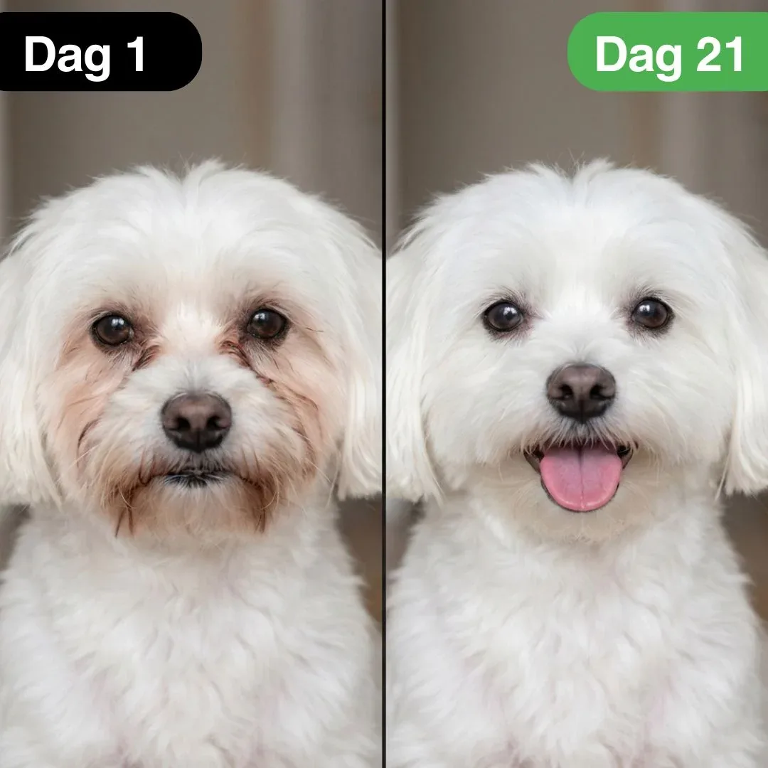 EyeWipes Kit - Skyddar mot ögonproblem - Image 2