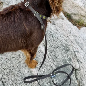 Fanny retrieverkoppel