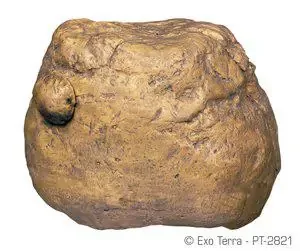 Feeding Rock Exoterra 12.5x9x9.5cm