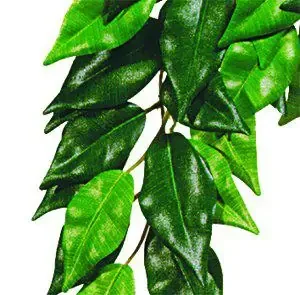 Ficus M Plastväxt Exoterra