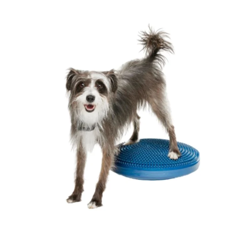 FitPAWS Balance Disc – Uppblåsbar balansplatta för hund