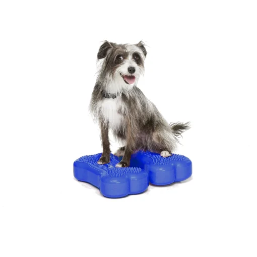 FitPaws bone mini 2-pack