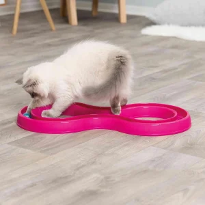 Flashing Ball Race Cat