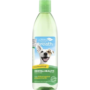 Fresh Breath Dental Health Solution