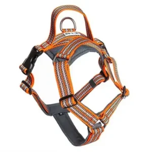 Future Walking Sele Orange – XS Sista chansen