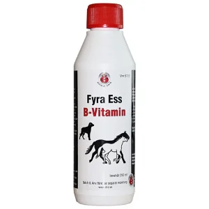 Fyra Ess B-Vitamin 2700ML