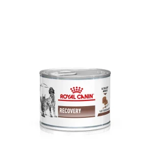 Gastrointestinal Recovery Ultra Soft Mousse V氓tfoder f枚r katter och hundar