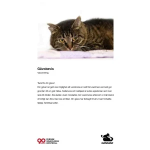 Gåva Vaccination
