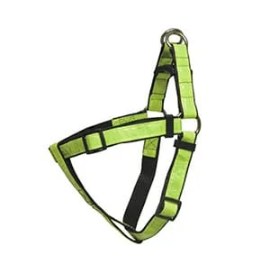 Globus Reflexsele 50-75 lime BA 4