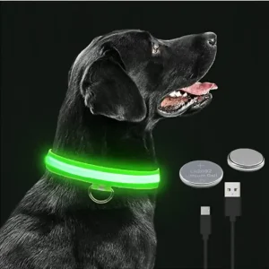 GlowGuard- LED hundhalsband batteri