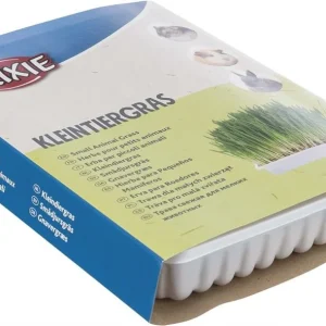 Gnagargräs 100g