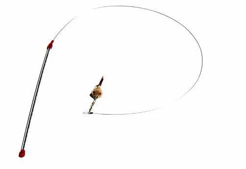 Go Cat Catcher
