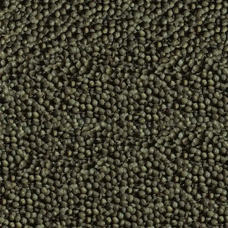 Goldy Color Spirulina Nature 100ml Rabatter