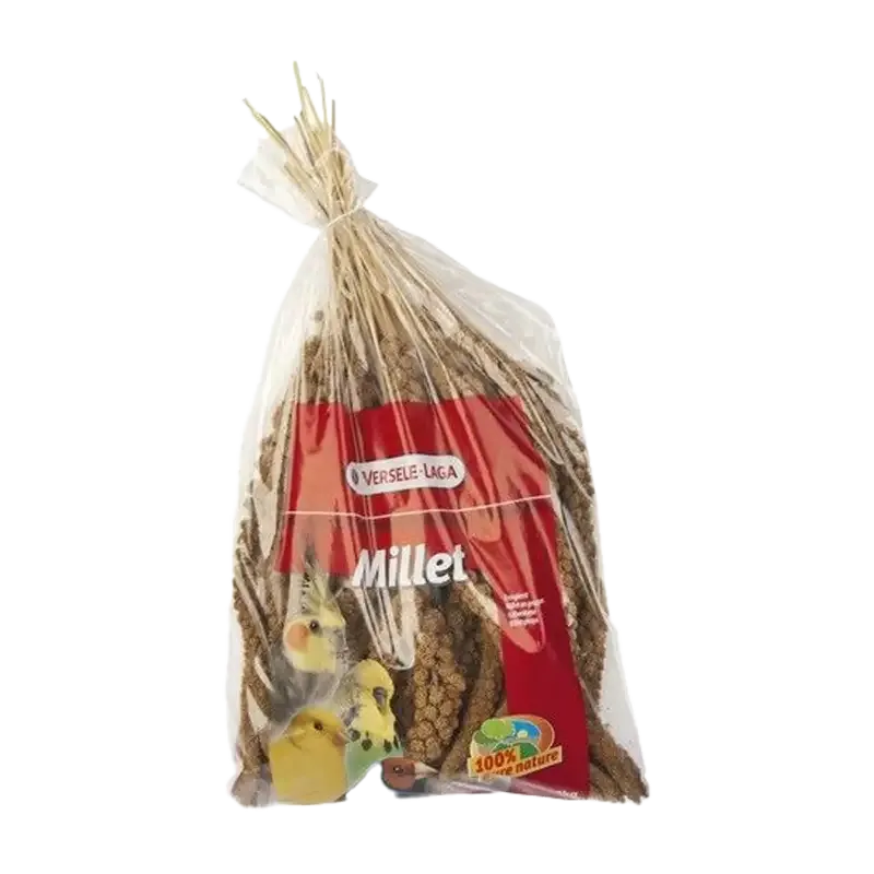 Gula hirskolvar – 300 G