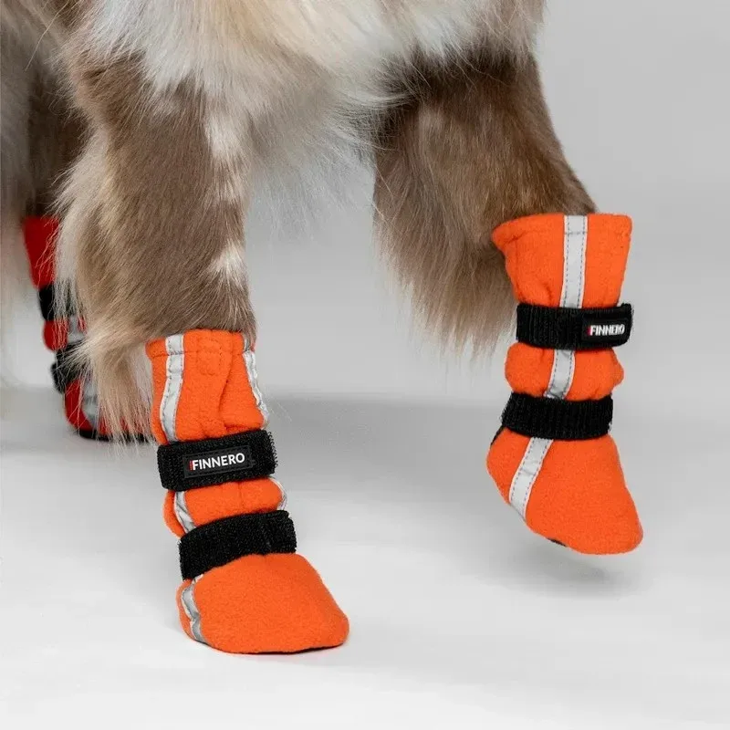 HALLA hundskor, orange - Image 2
