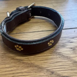 Halsband 25 cm