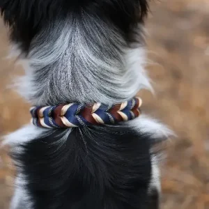 Halsband Classic – blå