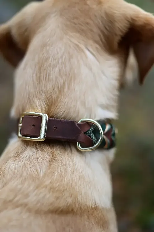 Halsband Classic – grön