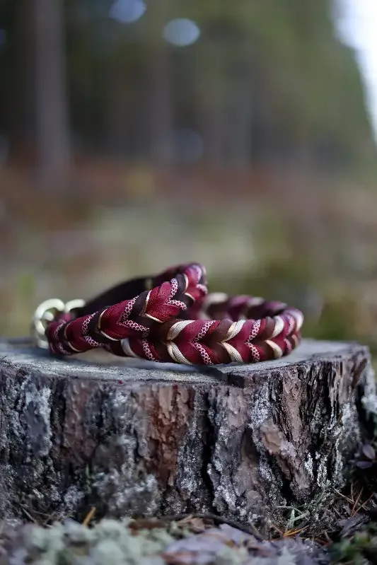 Halsband classic – röd