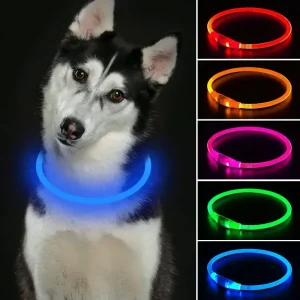 Halsband LED Hund – Blinkande Hundhalsband