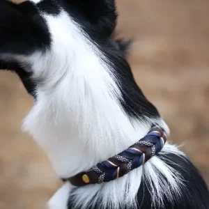 Halsband Slim – blå