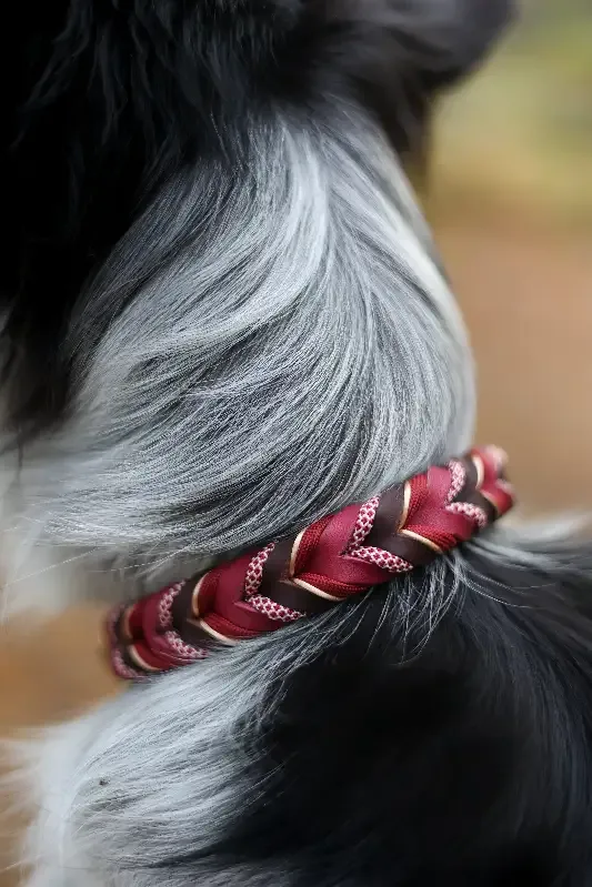Halsband Slim – röd