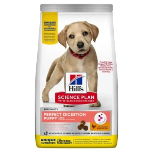Handla nu Perfect Digestion Large Puppy Chicken & Brown Rice – 12 kg