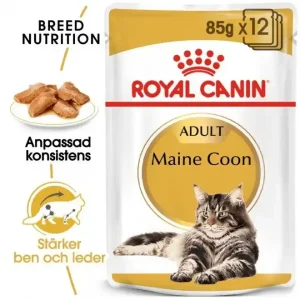 Handla nu Royal Canin Maine Coon Wet 12x85g