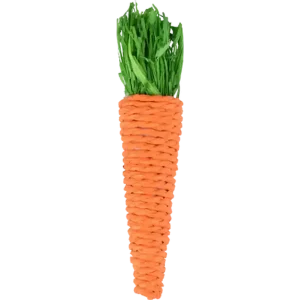 Handla nu Sat Legou Carrot Orange 2pack