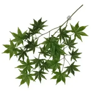 Hängväxt Terra Della – Cannabis – 65x40x5cm – Grön