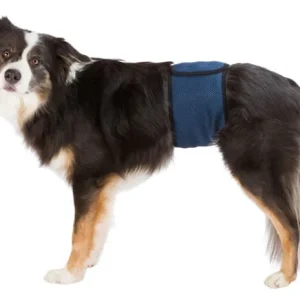Hanhundsskydd L