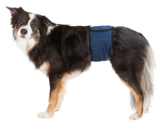 Hanhundsskydd, S: 29-37 cm, mörkblå - Image 2