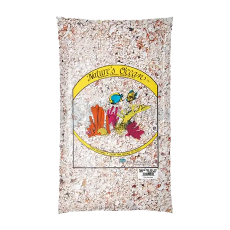 Hawaiian Puka Shells – 6.8 KG