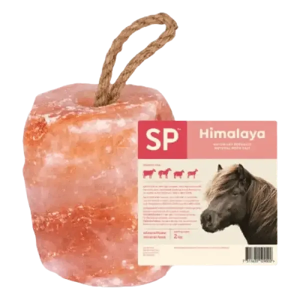 Himalayasaltsten Sp 2Kg