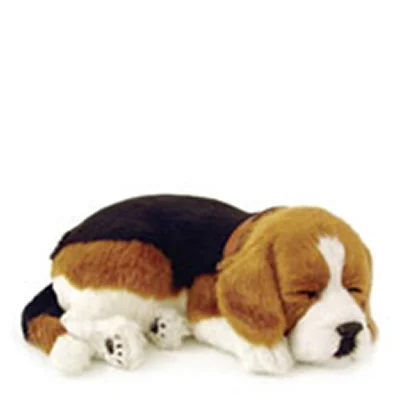 Hund beagle Perfectpetzzz orginal - Image 2