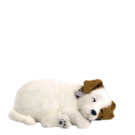 Hund jack russel Perfectpetzzz* orginal - Image 2