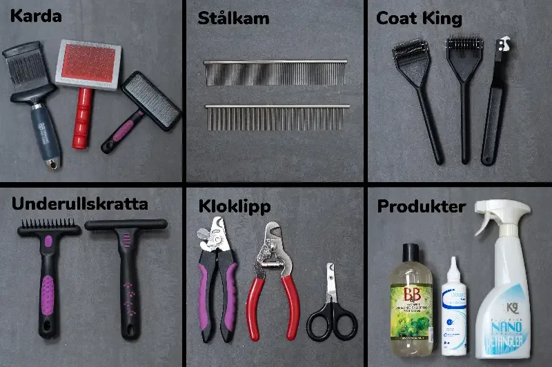 HUND – Pälsvårdsskolan