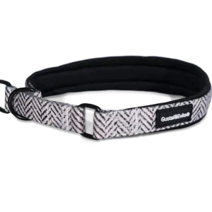 Hundhalsband Modish halvstryp M, 20mm x 4050cm Mönstrad Extra rabatt