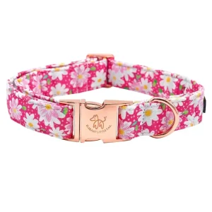 Hundhalsband, rosablommigt