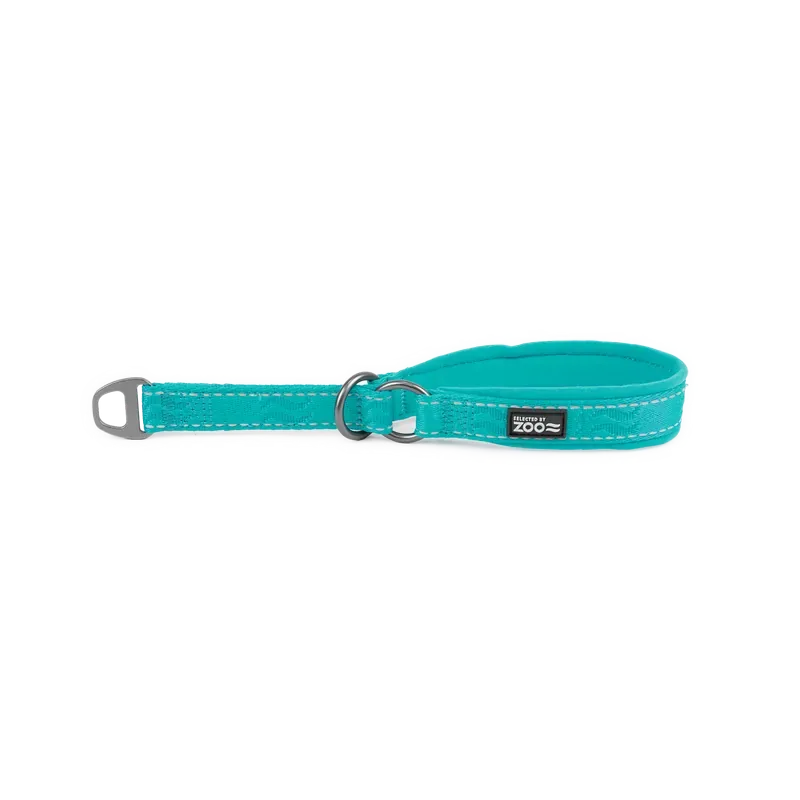 Hundhalsband Rufus halvstryp 20 mm x 3545 cm Turkos Fynd
