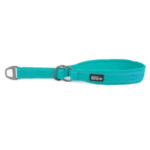 Hundhalsband Rufus halvstryp 25 mm x 4050 cm Turkos Premium