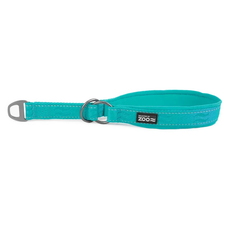 Hundhalsband Rufus halvstryp 25 mm x 4050 cm Turkos Premium